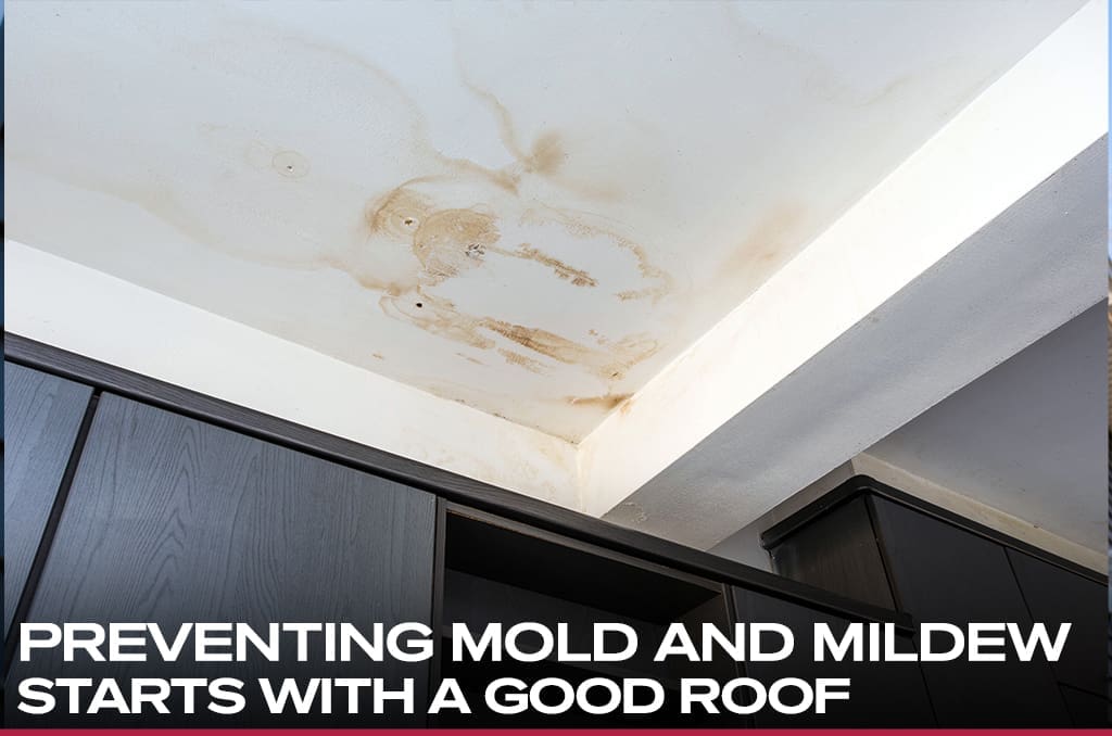 PreventingMold