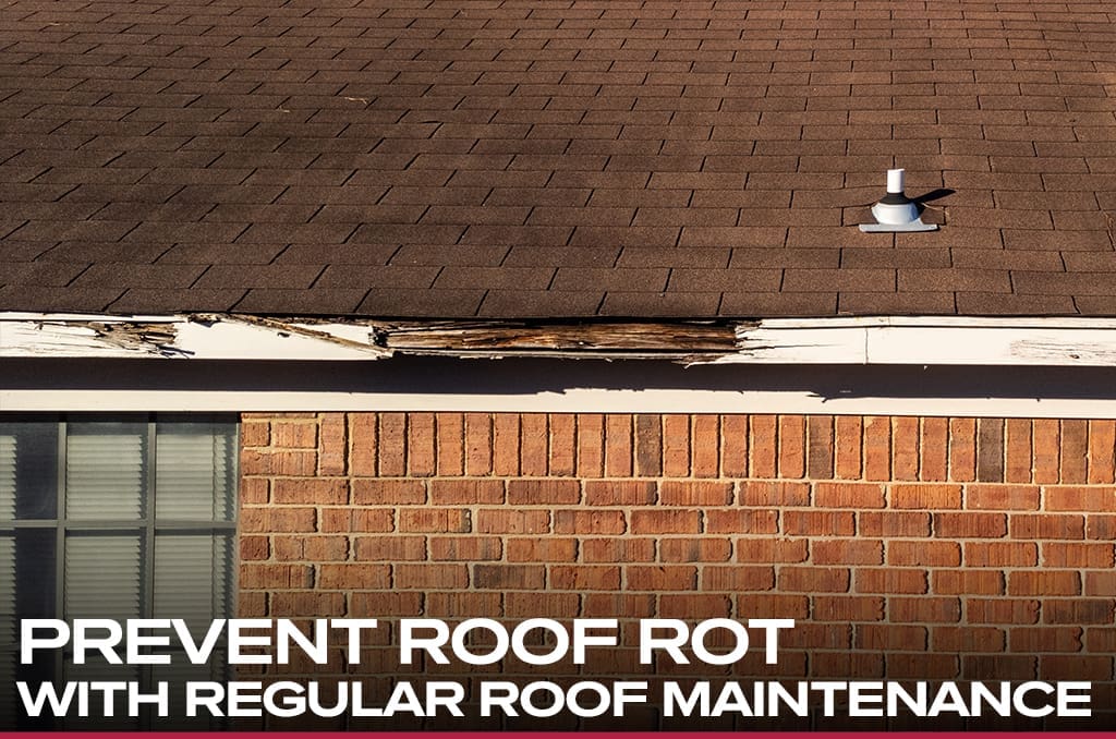 PreventRoofRot PreventRoofRot