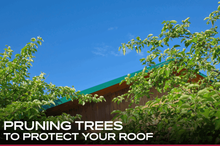 Pruning Trees to Protect Your Roof