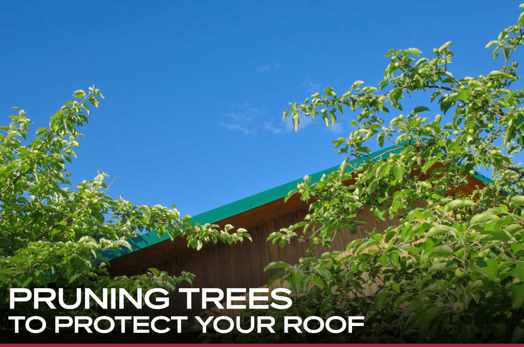 Pruning Trees to Protect Your Roof